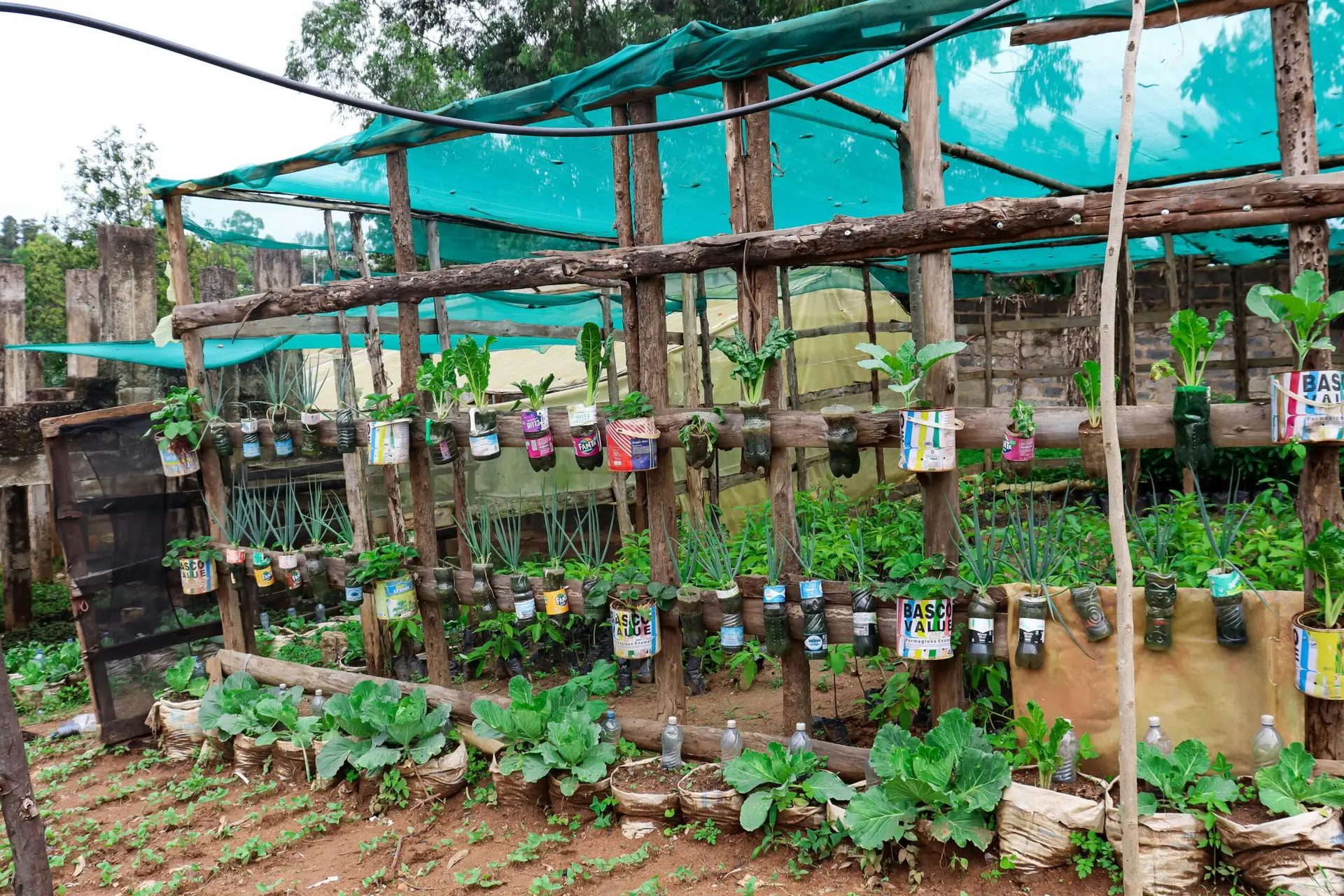 moris project poster sn 2025 1